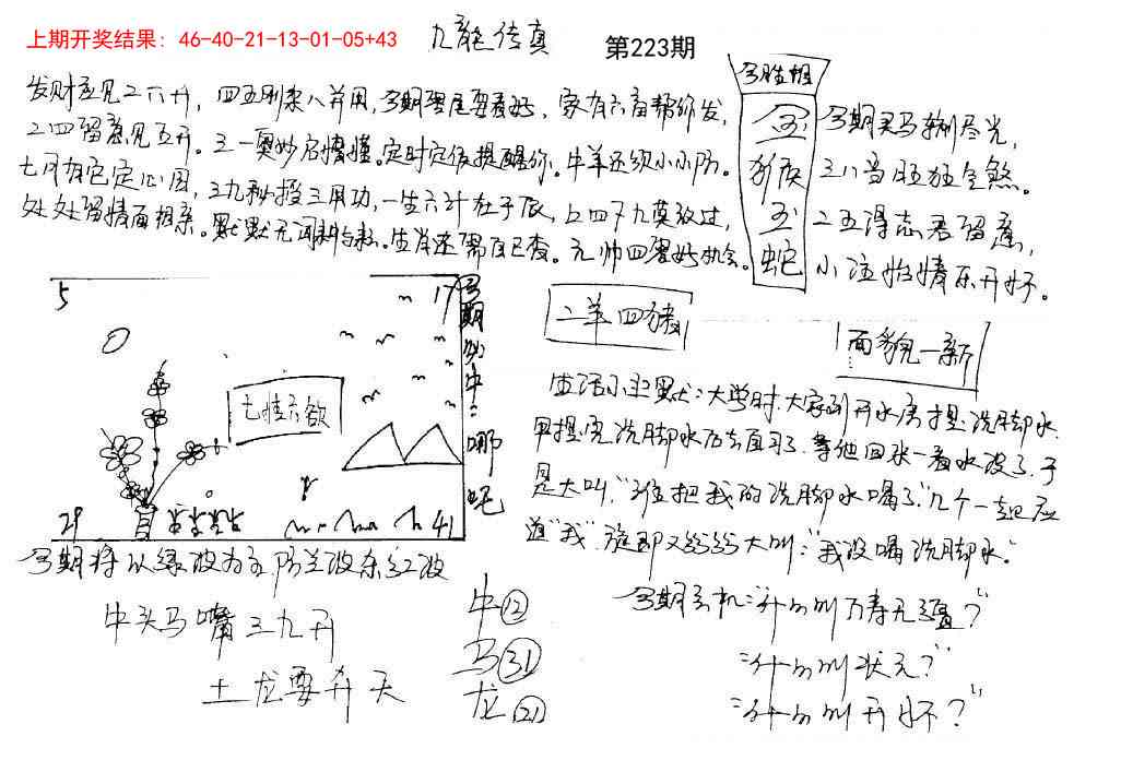 223期手写九龙内幕[图]