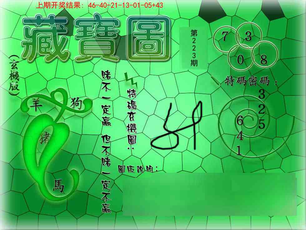 223期九龍玄机报[图]