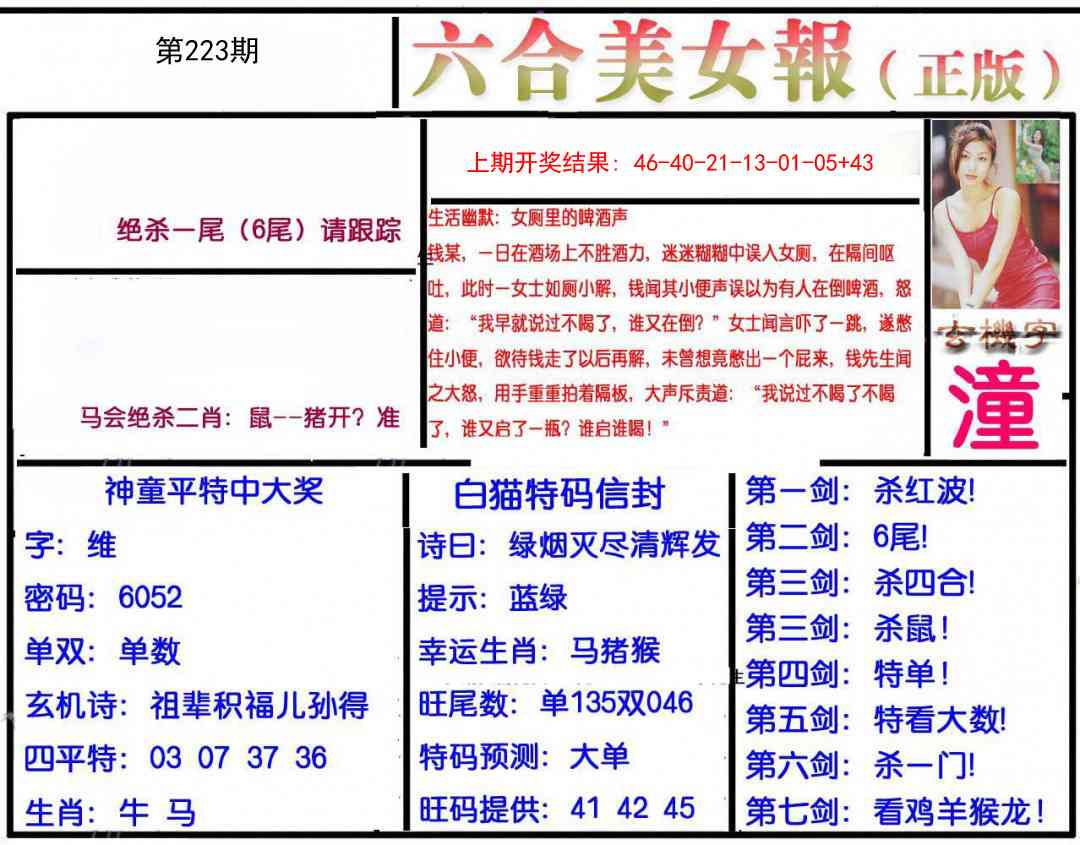 223期美女报[图]