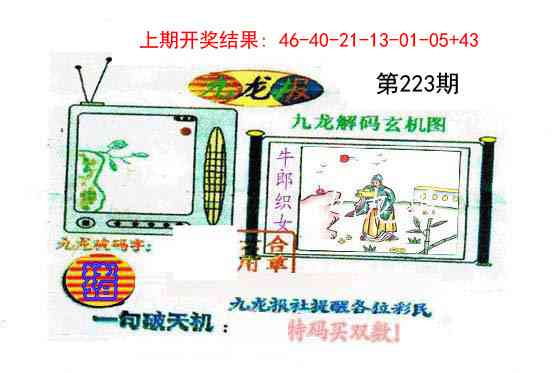 223期九龙报[图]
