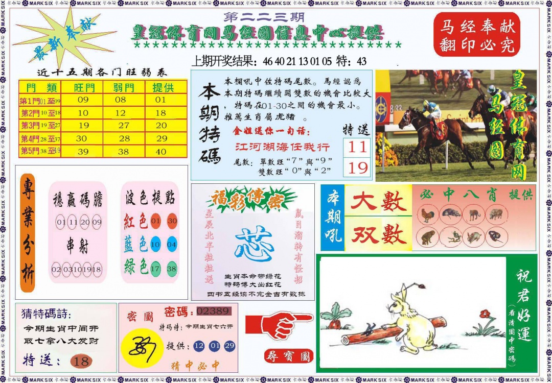223期体育网马经图[图]