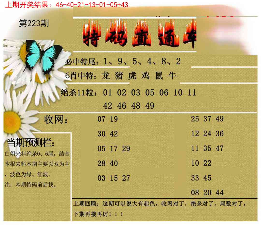 223期特码直通车[图]