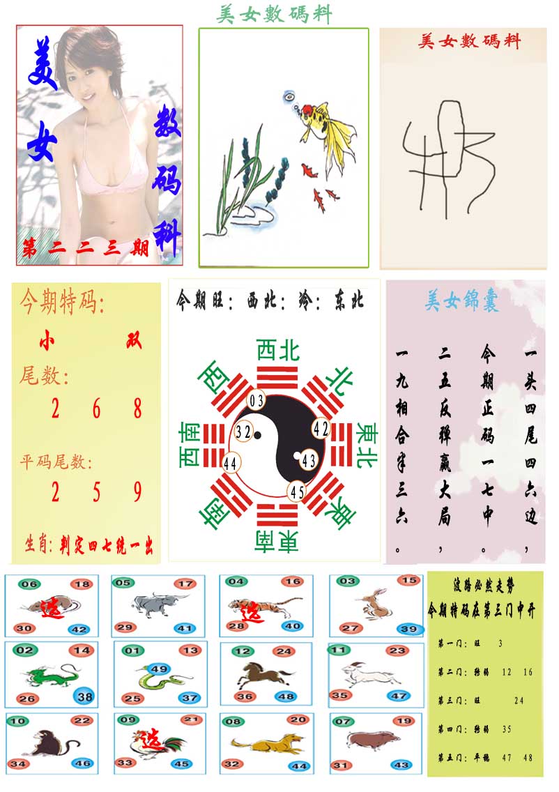 223期美女数码料[图]