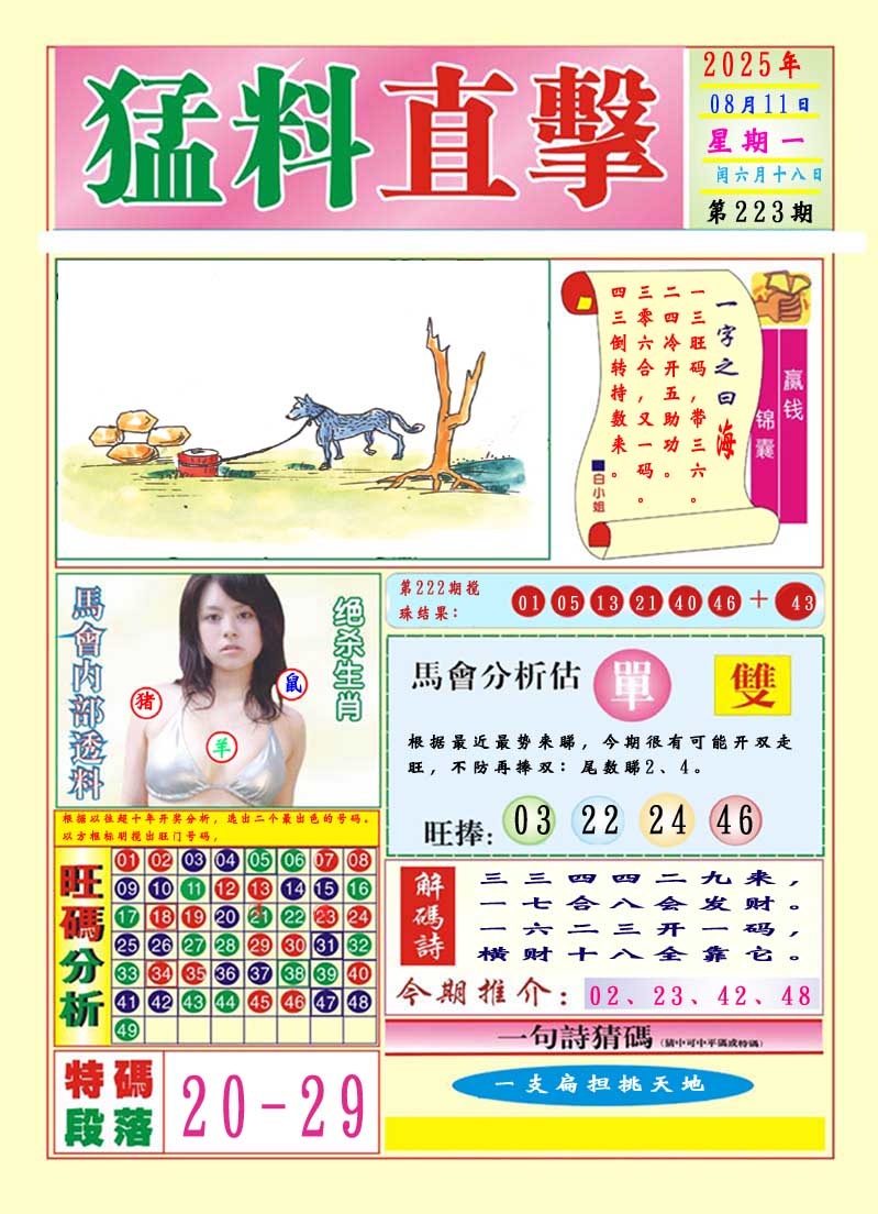 223期猛料直击A[图]