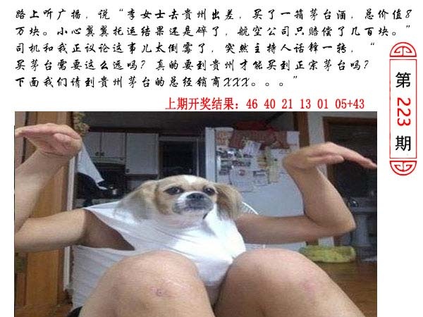 223期澳门生活幽默[图]