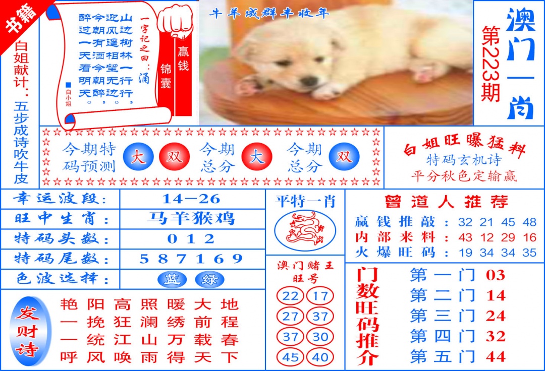 223期澳门东北虎[图]