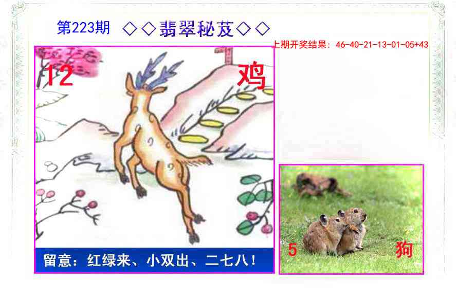 223期翡翠报[图]