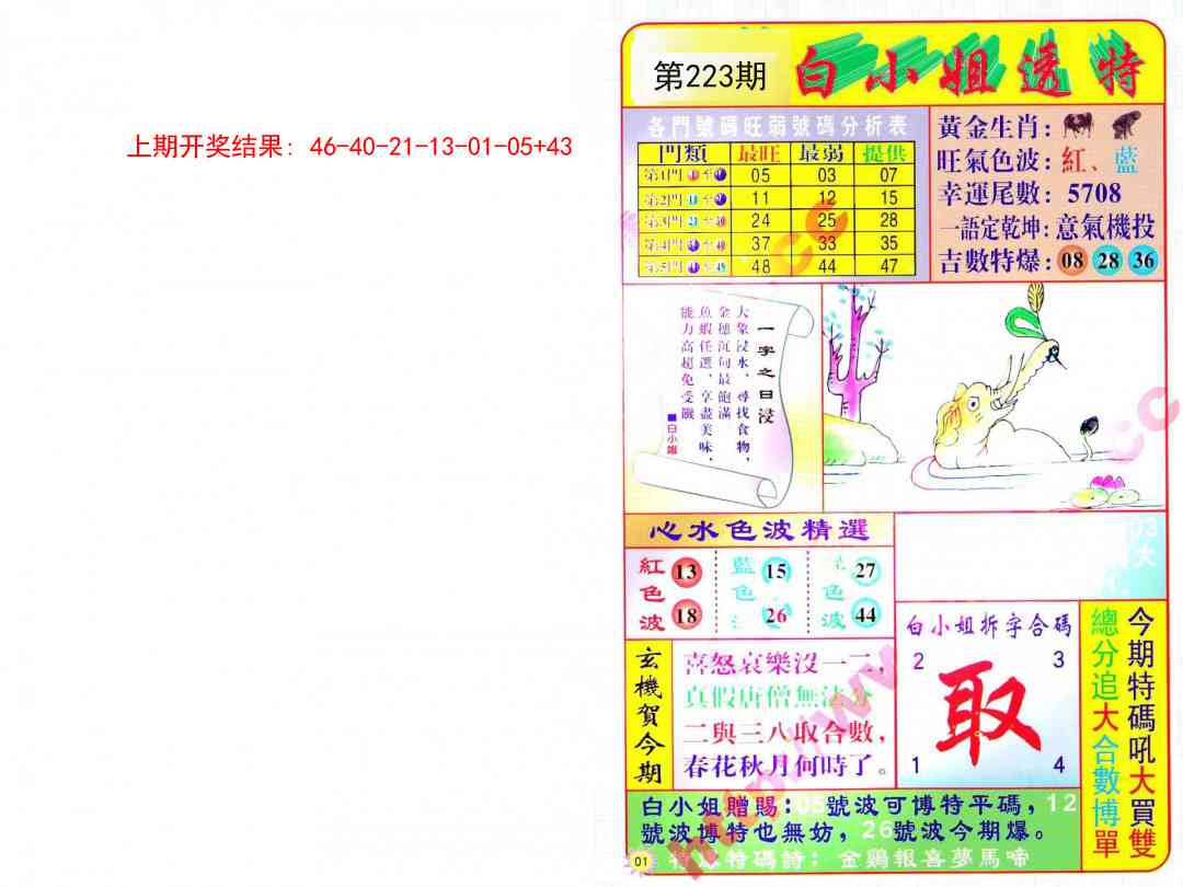 223期白小姐透特[图]