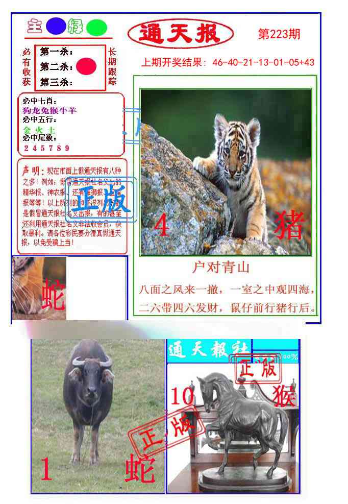 223期通天杀波图1[图]