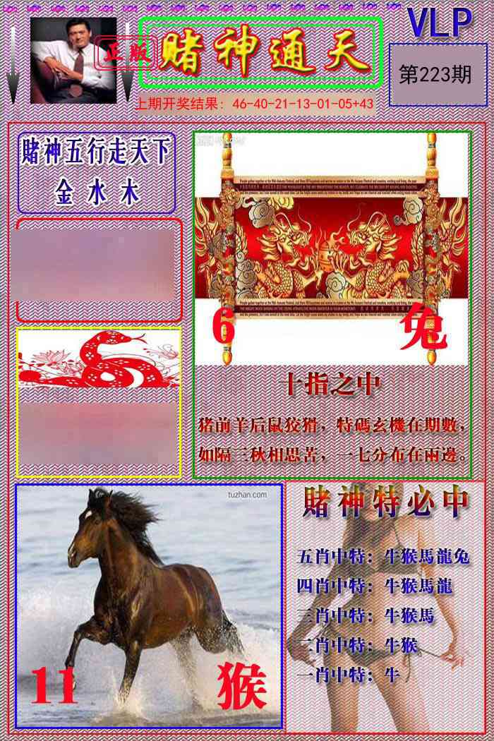 223期赌神通天报[图]