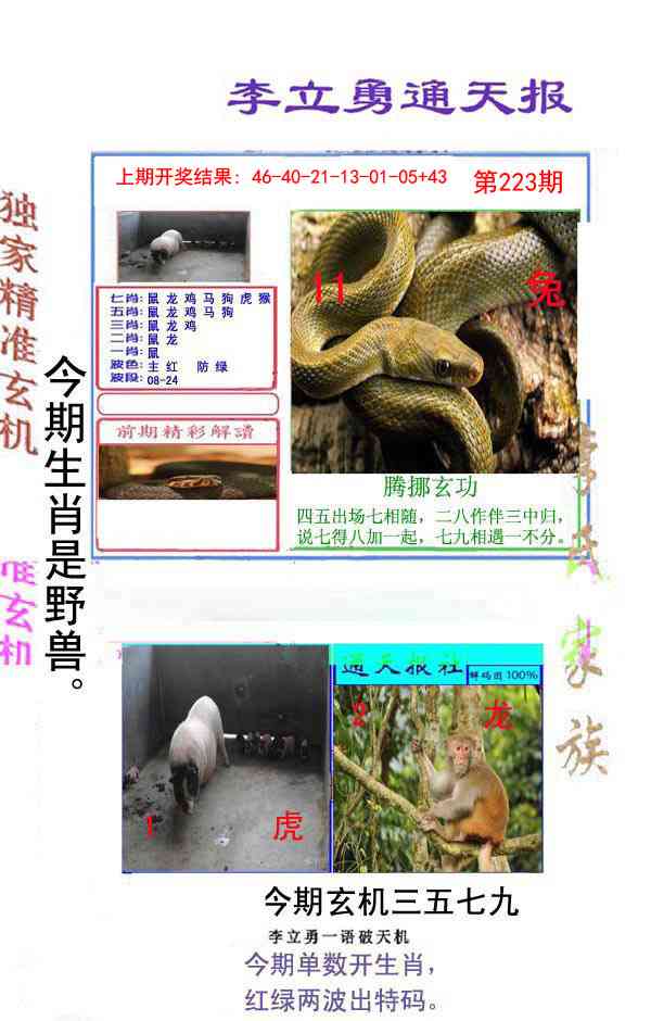 223期李立勇通天报[图]