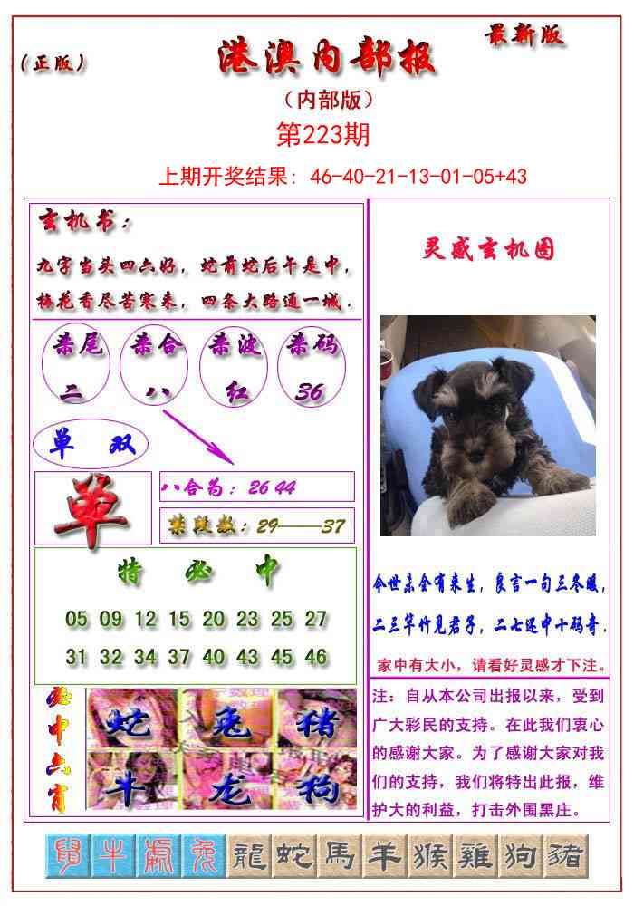 223期港澳报[图]