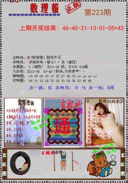 223期数理报[图]