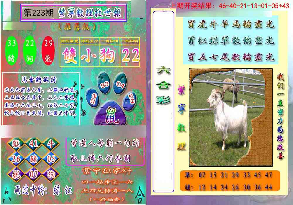 223期数理救世报[图]