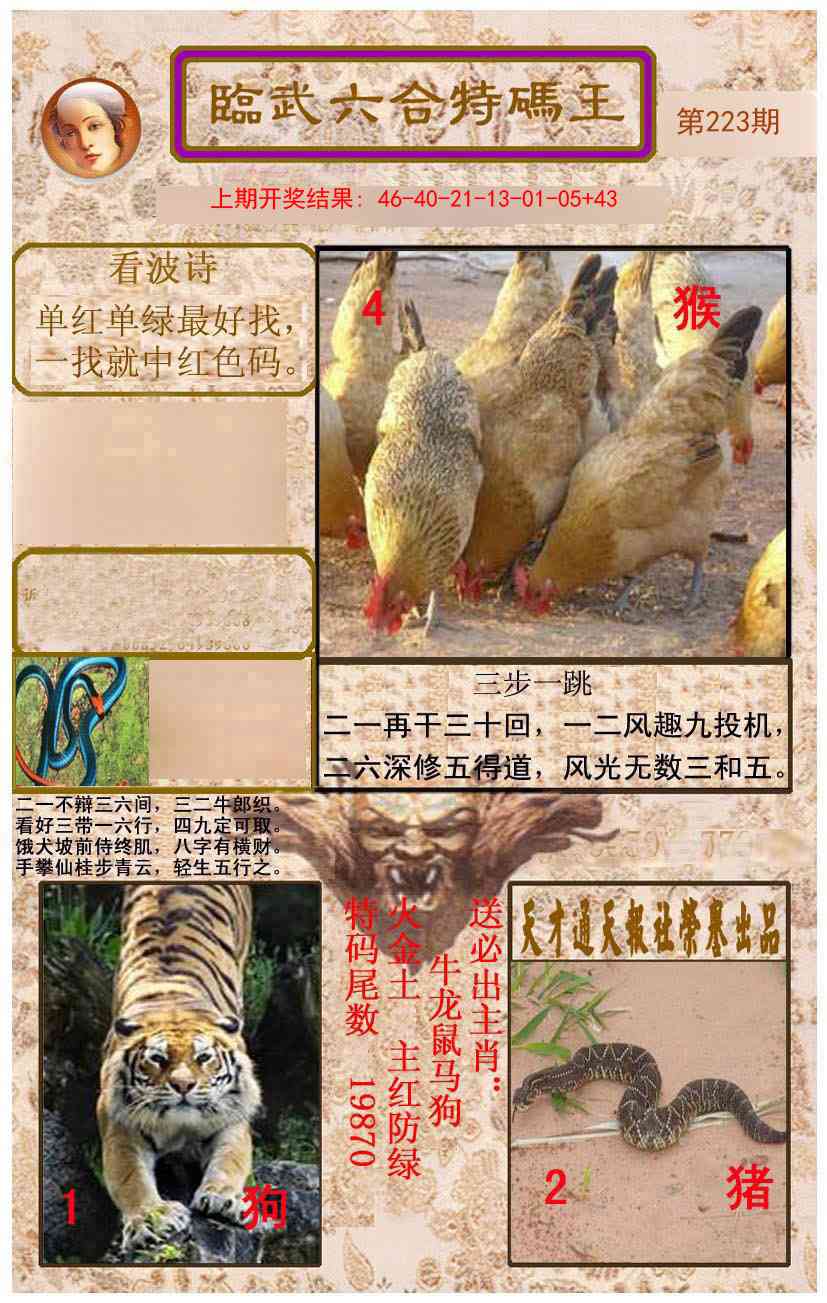 223期临武六合特码王[图]