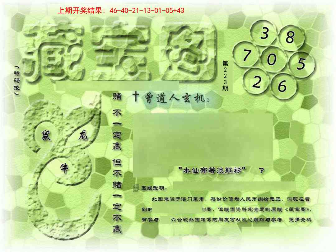 223期假新藏宝图[图]