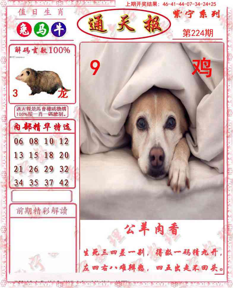 224期救通报[图]