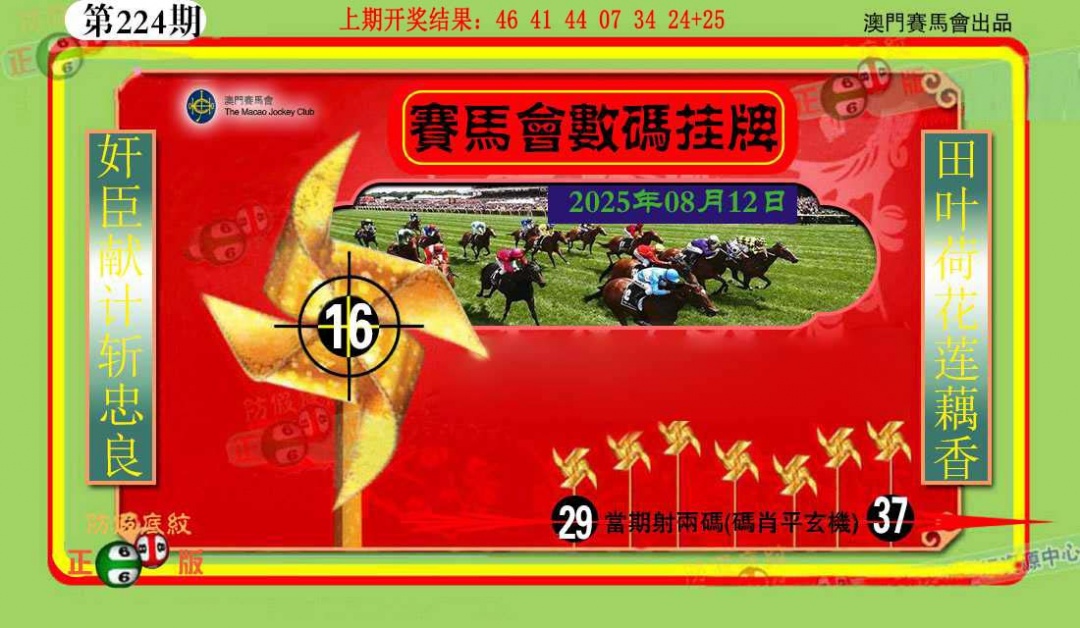 224期数码挂牌[图]