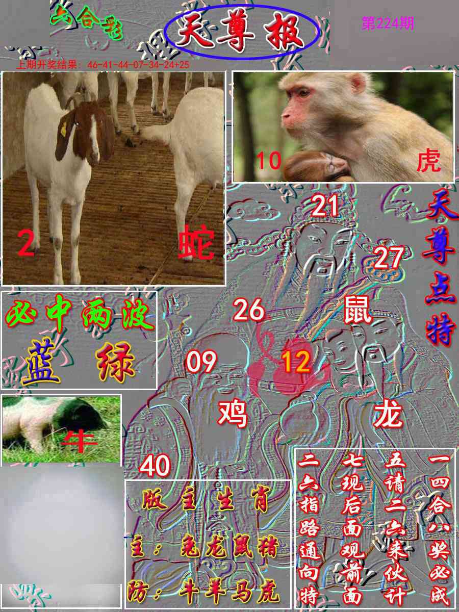 224期天尊报[图]