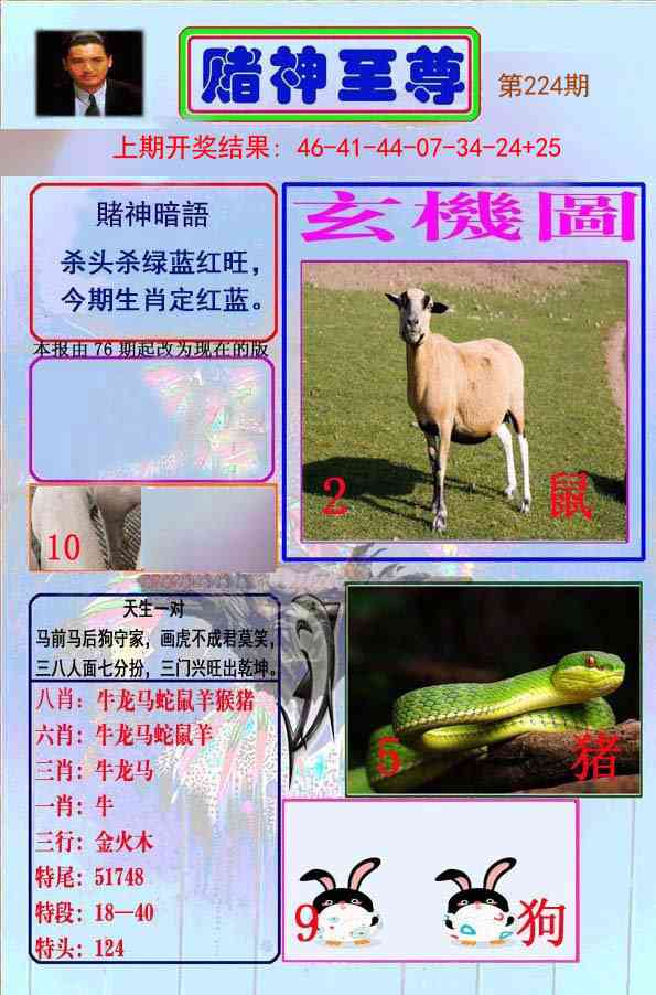 224期赌神至尊[图]