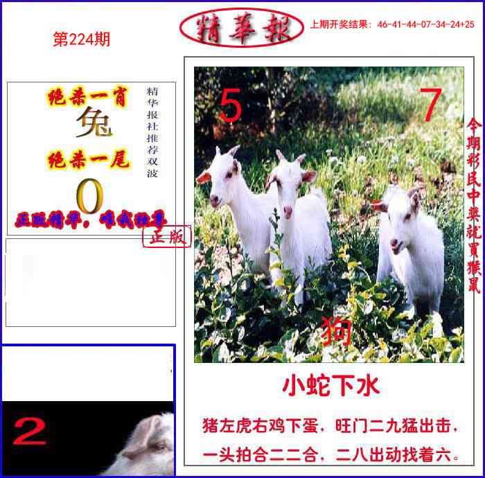 224期新精华报报[图]