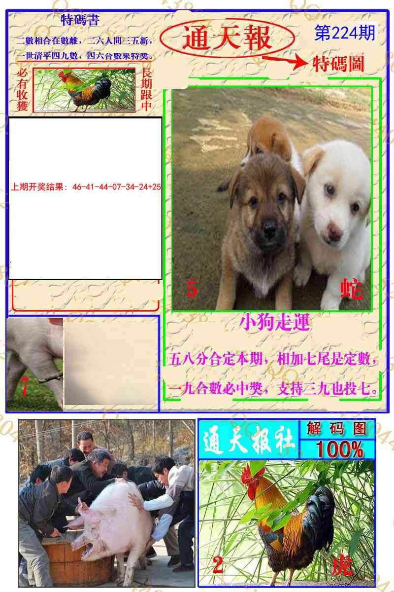 224期通天特解图[图]