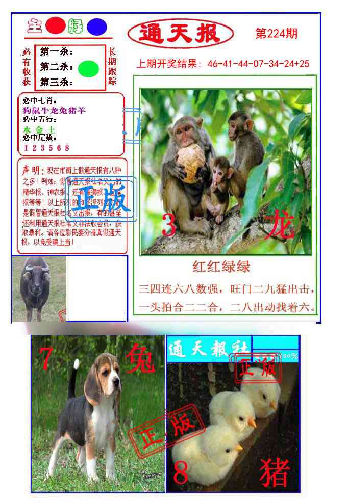 224期通天杀波图1[图]