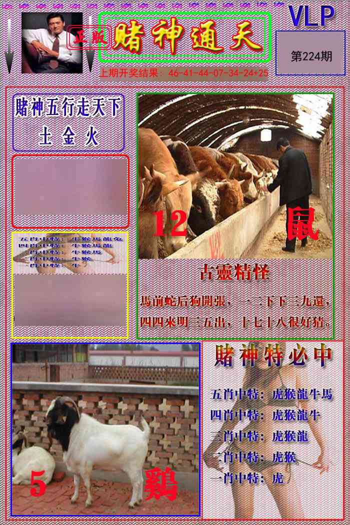 224期赌神通天报[图]