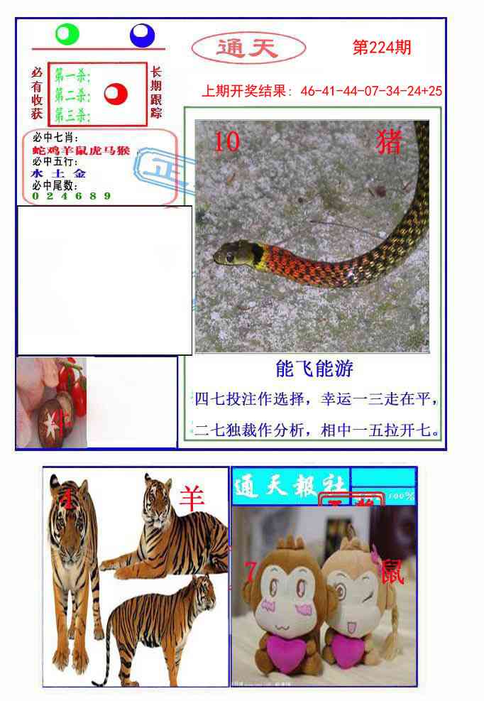 224期通天杀波图2[图]