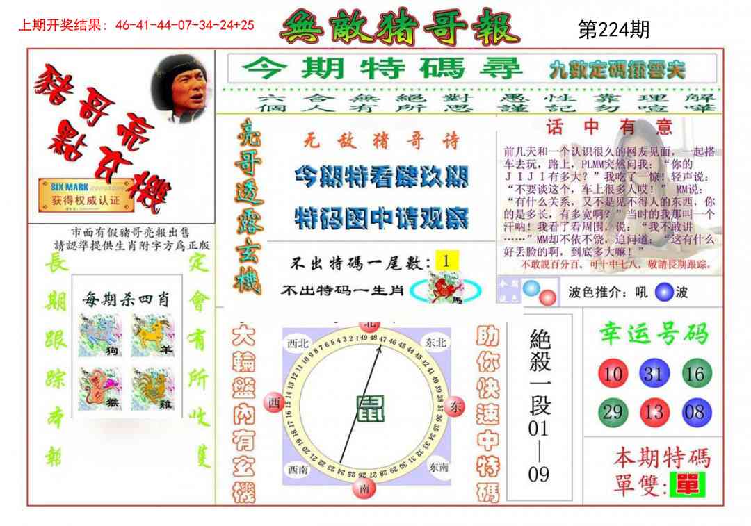 224期无敌猪哥[图]