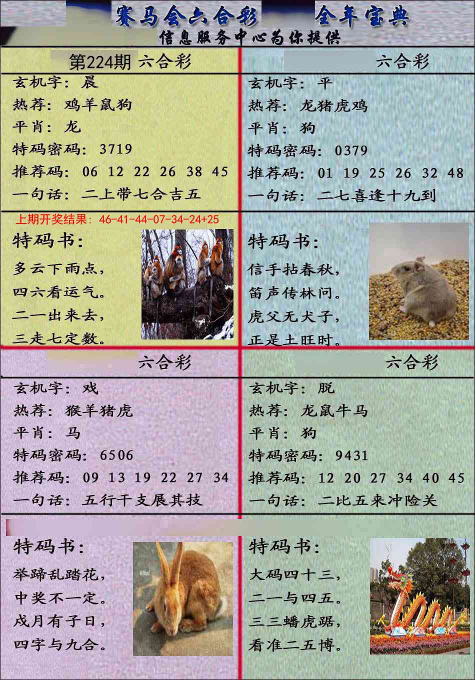 224期宝典报[图]