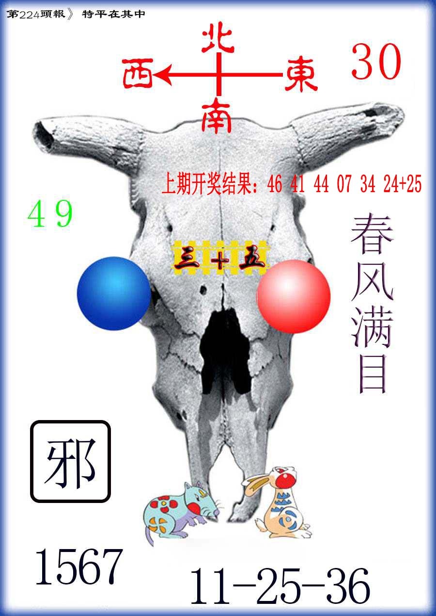 224期牛头报[图]