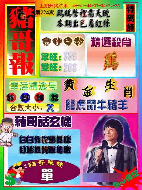 224期猪哥报[图]
