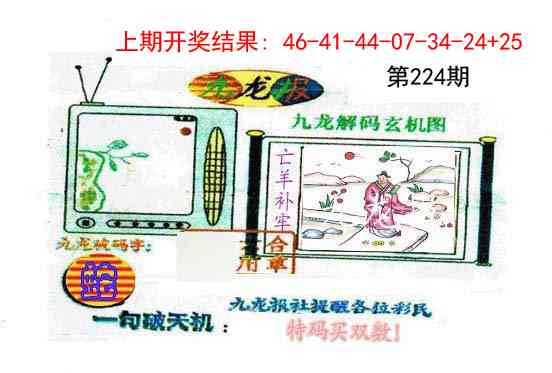 224期九龙报[图]