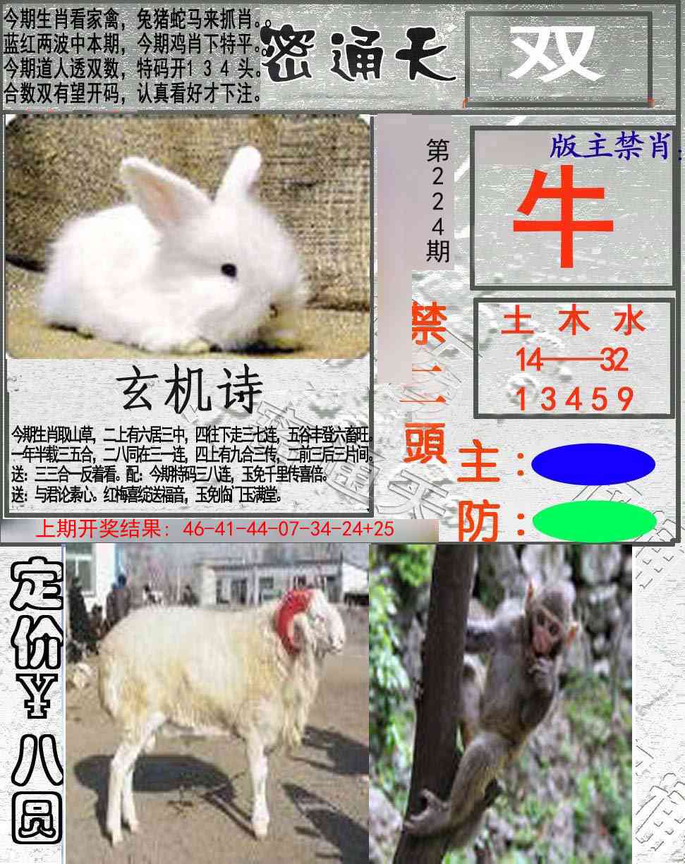 224期密通天[图]