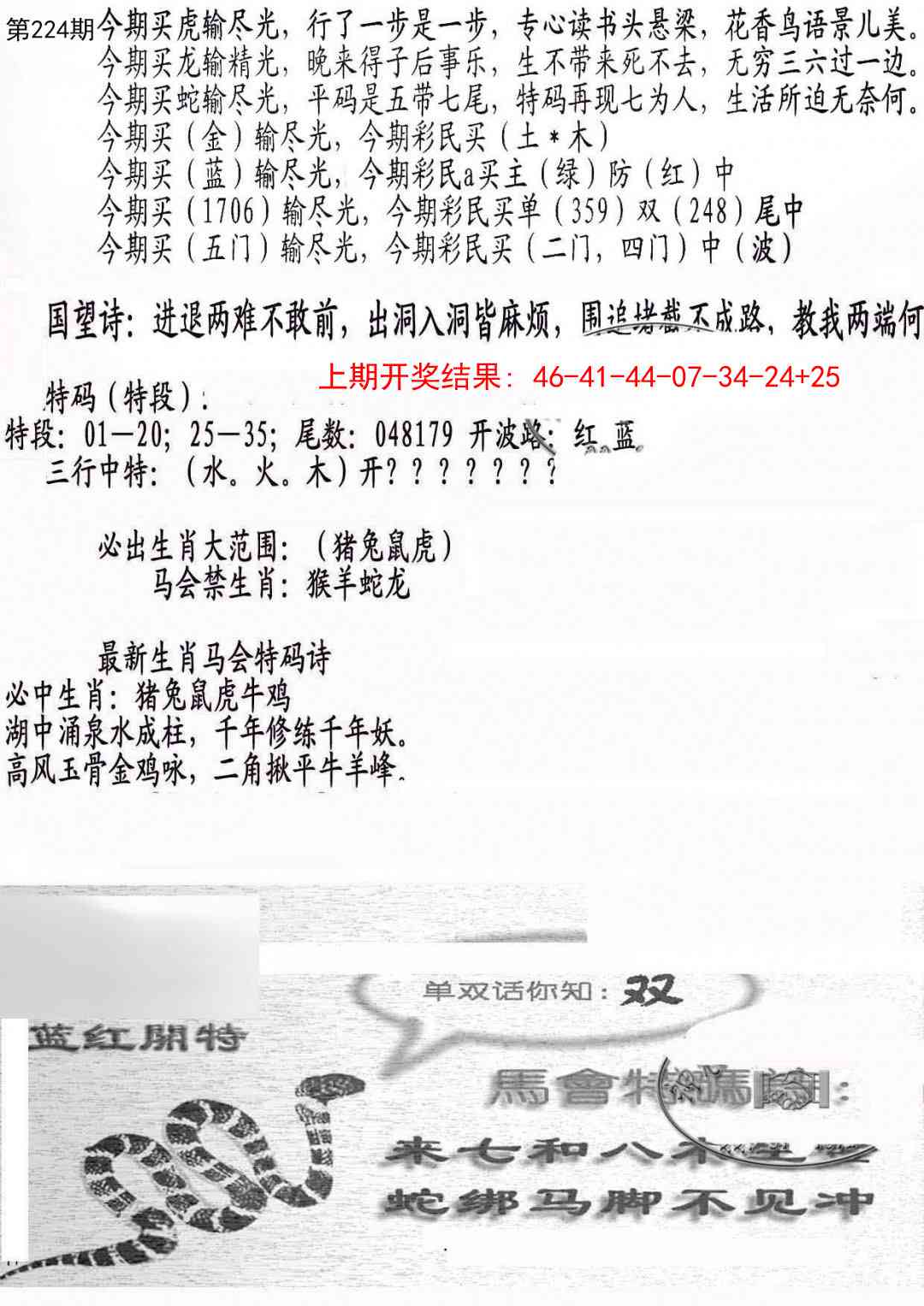 224期蛇报B[图]