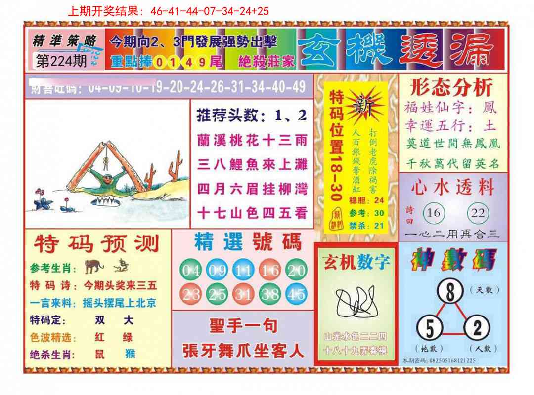 224期玄机透漏[图]