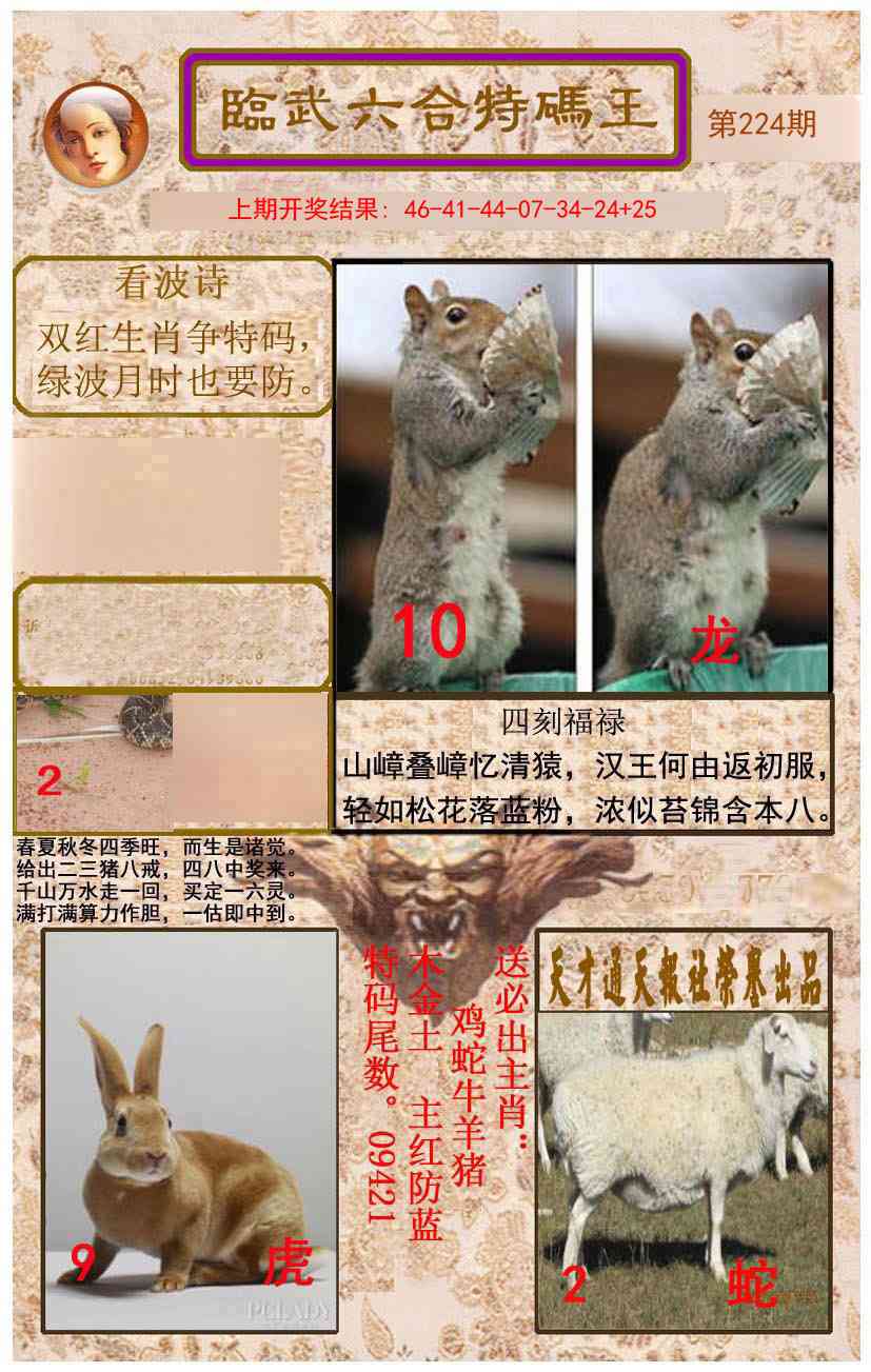 224期临武六合特码王[图]