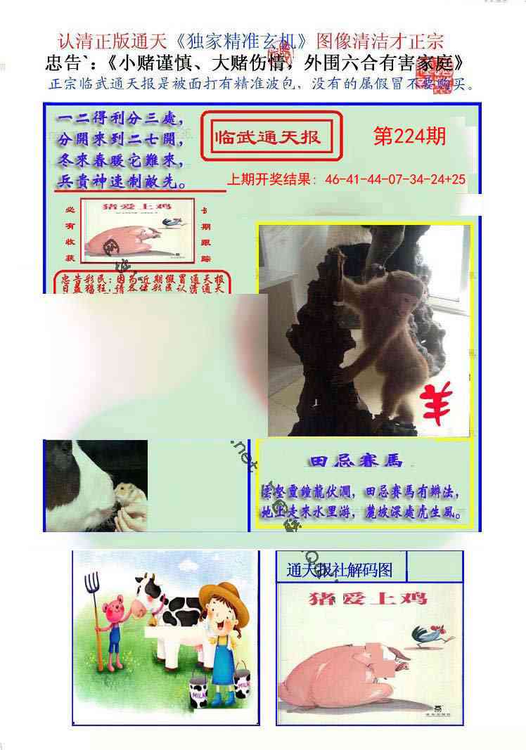 224期临武通天报[图]