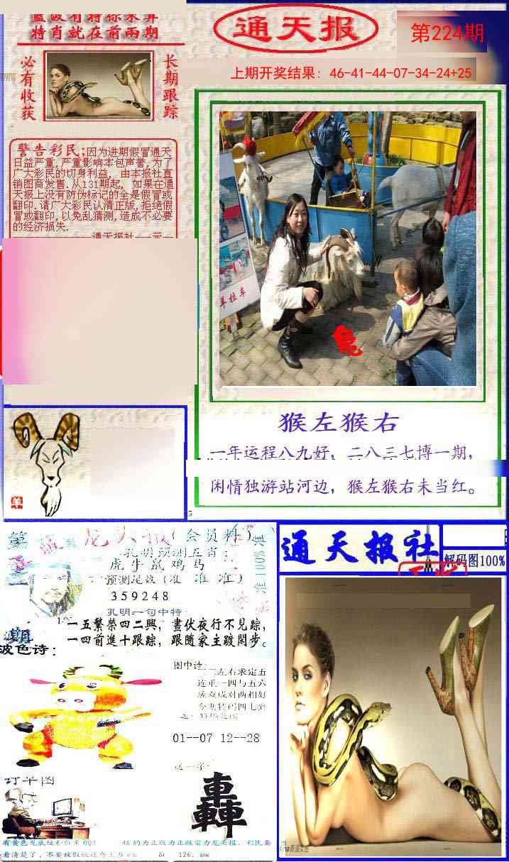 224期实力通天报[图]