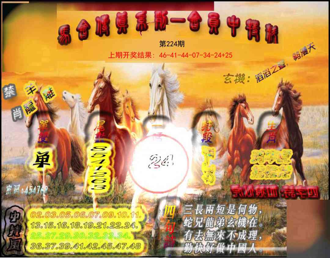224期马会传真-会员报[图]