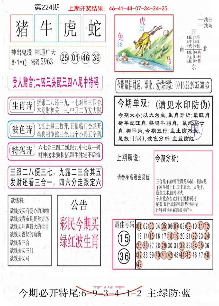 224期凤凰闲情A[图]