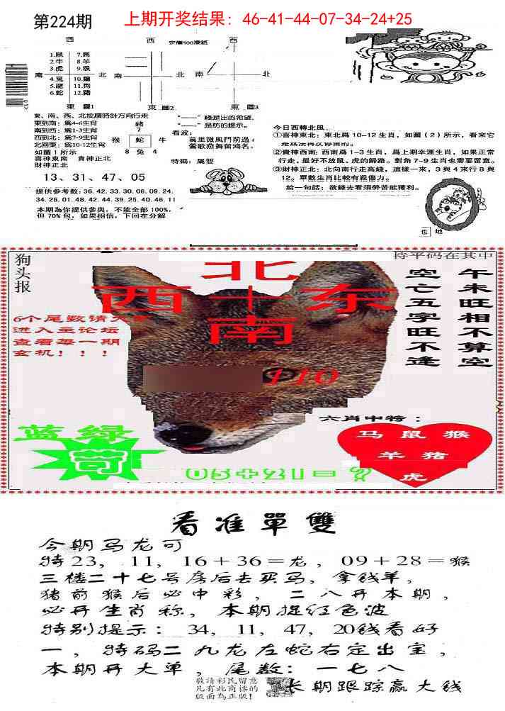 224期特码内幕B[图]