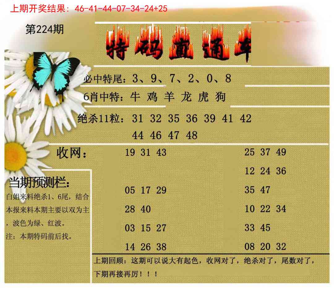 224期特码直通车[图]