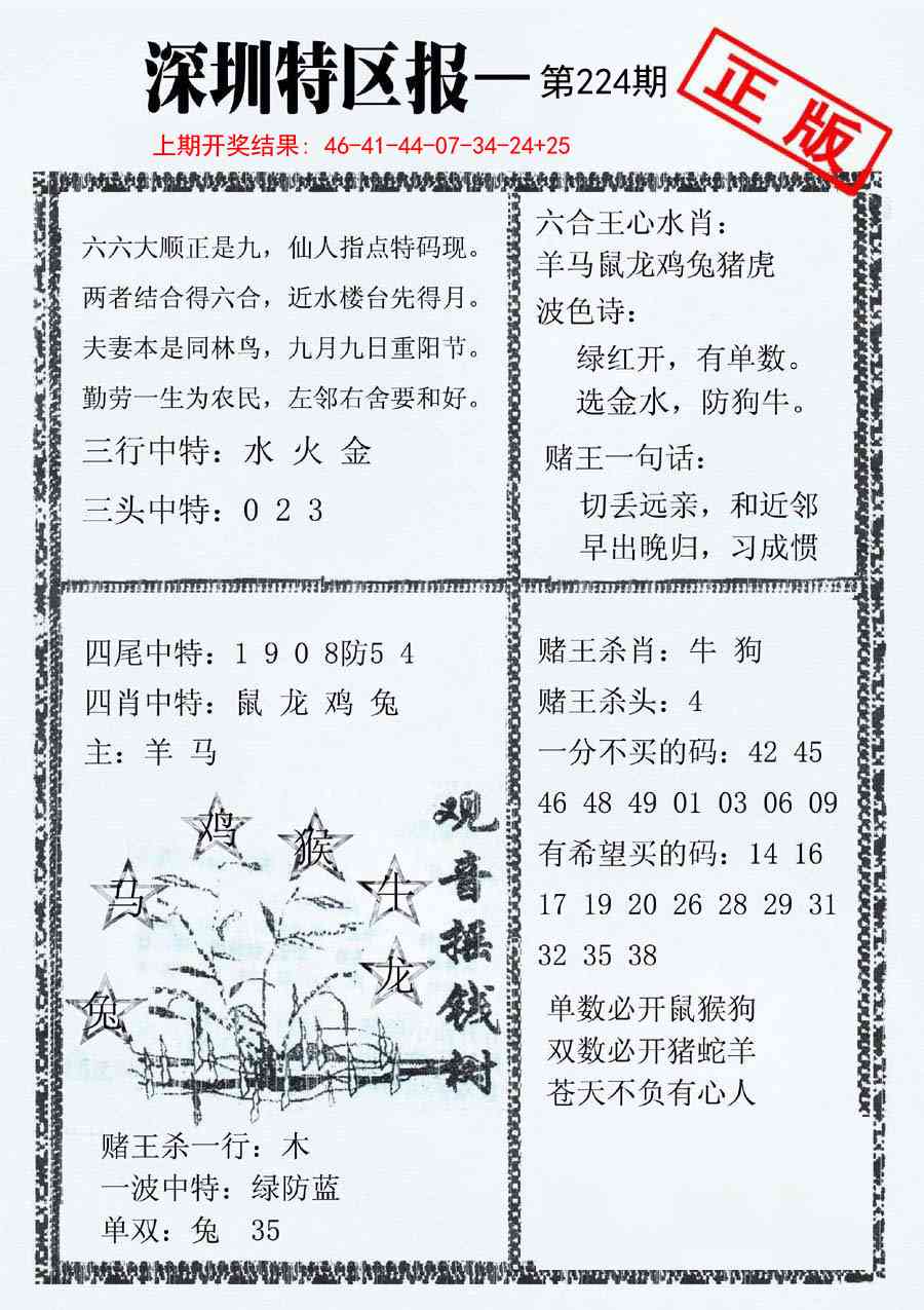 224期深圳特区报A[图]
