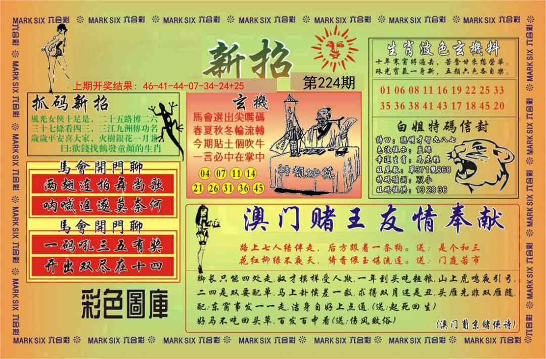 224期新招[图]