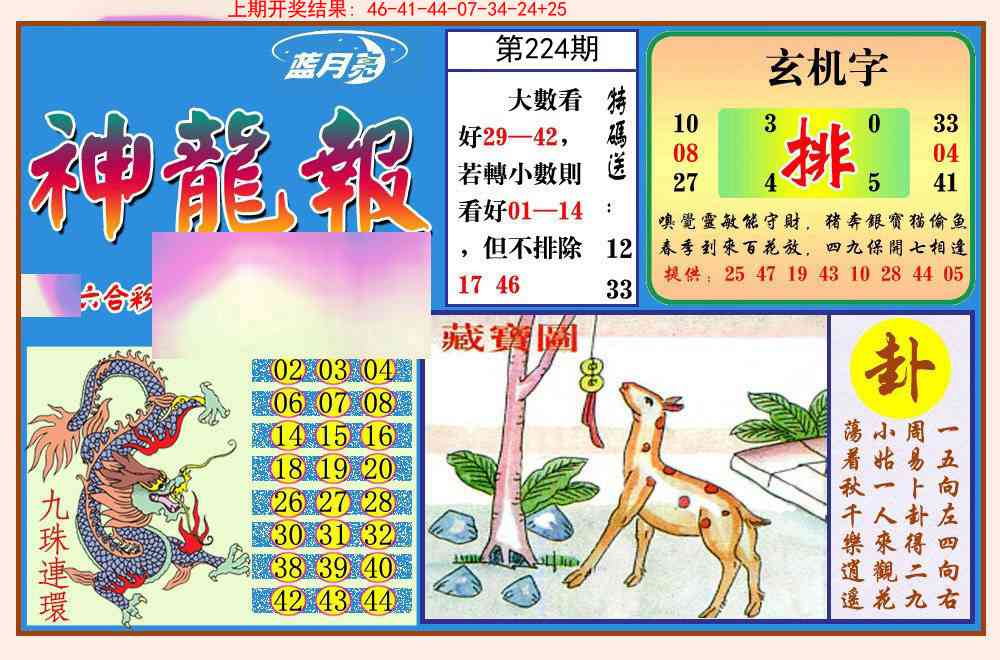 224期神龙报[图]