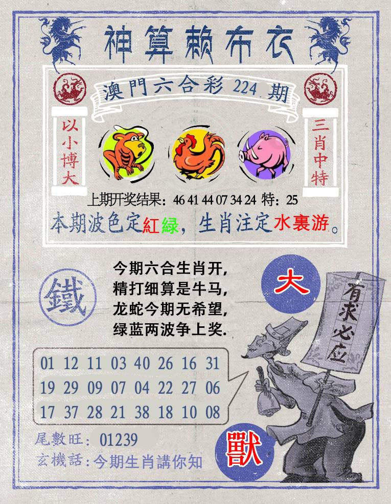 224期神算赖布衣[图]