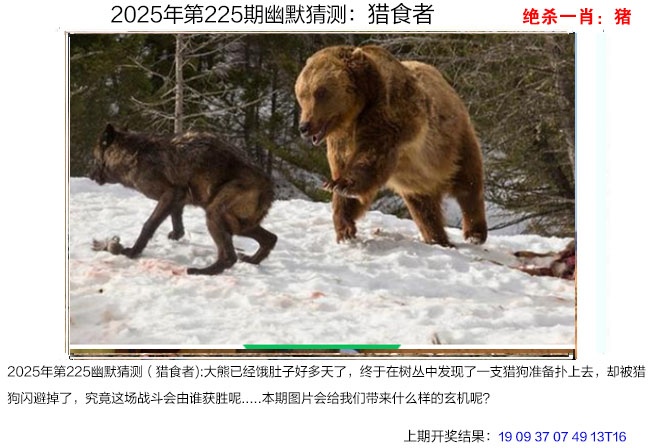 225期幽默猜测[图]