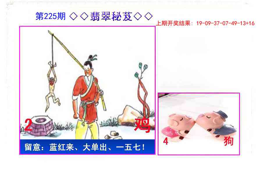 225期翡翠报[图]